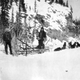 Illustration for article titled These Dogs are Honorary Geologists for Their Early Exploration of Alaska